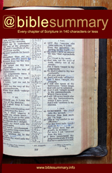 Bible Summary Blog Book